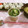 赤い電話's cooksnap of when they made 5分！ニラとえのきの卵とじ✿.