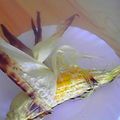 pecochan's cooksnap of when they made トウモロコシの丸焼き.
