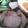 yukari23n's cooksnap of when they made 簡単で旨い！焼き豚.