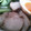 yukari23n's cooksnap of when they made 簡単で旨い！焼き豚.