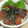 ちゃびぃ♡'s cooksnap of when they made 簡単☆マグロの漬丼.