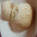 megupim's cooksnap of when they made HMで簡単☆マリー風クッキーパン.