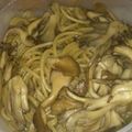ダックスまろ's cooksnap of when they made 簡単！！(´｀)/まいたけパスタ★.