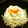 テラング's cooksnap of when they made 豆腐とオクラの冷し麺。.