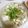 pandachoco's cooksnap of when they made 我が家の冷汁.