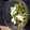 ぷにぷに地蔵's cooksnap of when they made 冷たい☆長いもとオクラの箸休め.