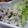 ＨＪＲ's cooksnap of when they made コロコロサラダ.
