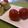 モッコちゃん's cooksnap of when they made トマトの塩麹マリネ.