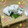 はらぺこ青虫's cooksnap of when they made 鯛とサーモンの押し寿司.
