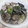 とそさ〜's cooksnap of when they made ナスがとろとろ★ナス味噌炒め.