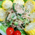 もじゃこてつー's cooksnap of when they made うちのゴーヤとツナの和風サラダ.