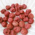 反省堂書店（のぐち）'s cooksnap of when they made 母と一緒に作った☆うちの梅干✿.