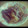 テヨン1's cooksnap of when they made 簡単☆牛肉きんぴら すき焼き風.