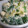 ちびーずママ's cooksnap of when they made 和食の定番☆ほうれん草の白和え.