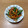 みぃくんのママ's cooksnap of when they made きんぴらごぼう簡単.