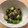 berry tai's cooksnap of when they made モロヘイヤとオクラの白だし和え.