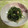 SURA1974's cooksnap of when they made おかひじきとみょうがの柚子胡椒和え.