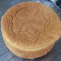 ナナ☆ナナ's cooksnap of when they made 基本のケーキスポンジ(ジェノワーズ).