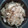 ぽんぺん's cooksnap of when they made 失敗なし！かしわたっぷりのたきこみごはん.
