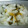 tomokakyo's cooksnap of when they made 柚子茶で簡単柚子大根.