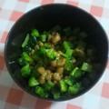 ほげウサ。's cooksnap of when they made 夏の朝定番！ゴーヤの辛し納豆和え.