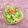 みなみんくっきんぐ's cooksnap of when they made もやしの中華サラダ.