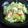 mzzzzzzz's cooksnap of when they made レタスときゅうり、かにかまのサラダ.