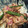 あきひと's cooksnap of when they made ★ベーコンと舞茸の洋風丼★.