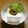 withママ's cooksnap of when they made 夏の薬味たっぷり☆山形の「だし」.
