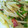 ひこ0304's cooksnap of when they made じゃがいもとピーマンの炒めもの.