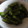 たぬきち５５'s cooksnap of when they made ししとうの佃煮.