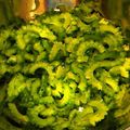 そらさんた's cooksnap of when they made 苦味が消える！！ゴーヤ下ごしらえ.