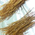 ぽんﾁｬﾝ☆'s cooksnap of when they made スパゲティ（乾）で簡単おやつ？.