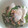 とぅいぃてぃ's cooksnap of when they made さっぱり爽やか☆大根と青じその梅ごま和え.