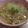 タロクン's cooksnap of when they made 冬瓜コンソメスープ.
