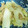 奈緒吉's cooksnap of when they made 白菜とツナの塩麹炒め.