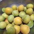 きくまみー's cooksnap of when they made 減塩♡梅干しの作り方(シソなし塩10%).