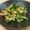Kayo O's cooksnap of when they made 小松菜たまごのオイスターソース炒め.