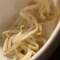 MULA's cooksnap of when they made レンジで簡単☆茹でモヤシ.