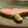 にゃつめ〜's cooksnap of when they made 秋鮭の塩麹焼きスダチの香りで.