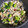 いしまるでんき's cooksnap of when they made やみつき！3種のきのこと牡蠣のアヒージョ.