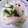 rem★'s cooksnap of when they made 鶏ささみと三つ葉の柚子こしょう和え.