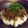 reiko913's cooksnap of when they made ヘギーさんのゴーヤ.