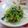 ☆Haru☆☆'s cooksnap of when they made 三つ葉の梅おかか和え.