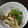 ゆかぴん☆★☆'s cooksnap of when they made オクラとしめじの簡単煮物.