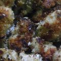 ぴけどーる's cooksnap of when they made 鶏肉の梅しそマヨネーズパン粉焼き.