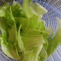 yuriyukiy's cooksnap of when they made お湯につけるだけでパリパリ☆レタス.
