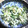 eola's cooksnap of when they made ちくわときゅうりのマスタードマヨ和え.