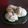 takemoy's cooksnap of when they made ムュシュ風蒸しパン.