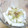 yuuki03's cooksnap of when they made 長芋の短冊　～めんつゆ仕立て～.